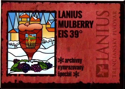Lanius Mulbery Eis 2