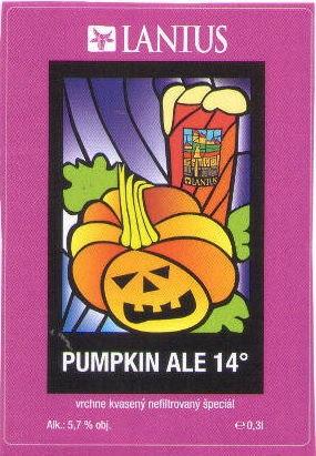 Pumpkin Ale 1