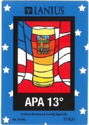 APA 06