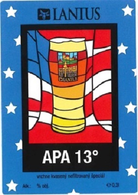 APA 07