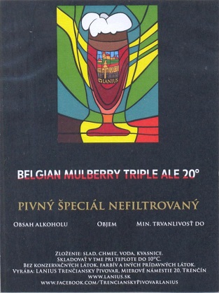 Belgian Mulberry Triple Ale 1