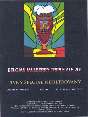Belgian Mulberry Triple Ale 2