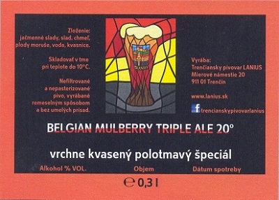 Belgian Mulberry Triple Ale 4