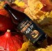 Pumpkin Ale 3